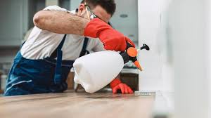 Best Termite Inspection and Treatment  in Terrace Heights, WA